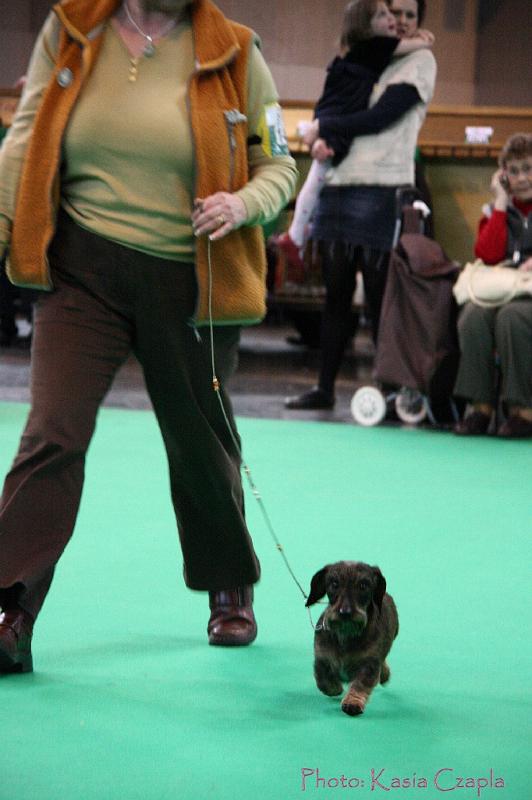 Crufts2011_2 1497.jpg